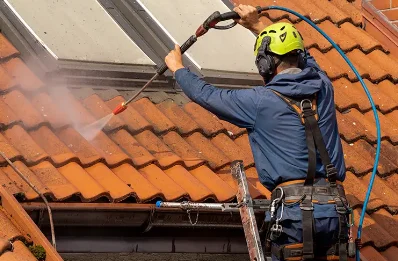 Démoussage et hydrofuge de toiture à Lorey